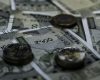 India Capital Growth Fund