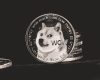 crypto celeb meme coin