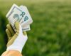 Federal Agricultural Mortgage earnings