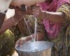 Parag Milk Foods investment